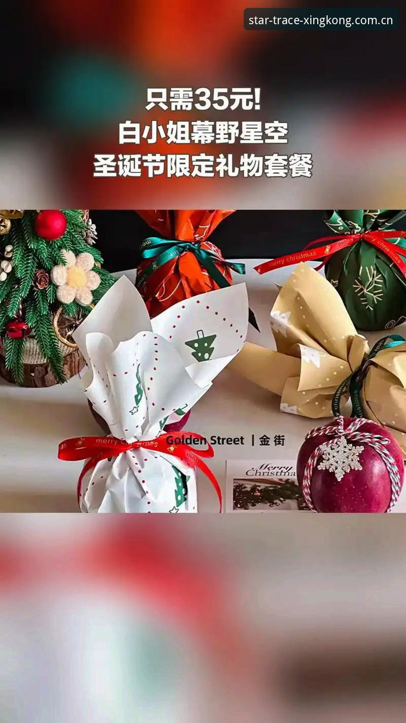 RBBN·cn 域名溯源官网必备 上周朋友小赵发来一条链接,说是花了大价钱买的“星空会员套餐”,让我帮他验验真伪。我打开那个网站,域名是rbhn.cc,页面做得有模有样,界面风格跟正版几乎一致。但我总觉着不对——再好的仿冒品,也经不起你用对了方法去戳一下。